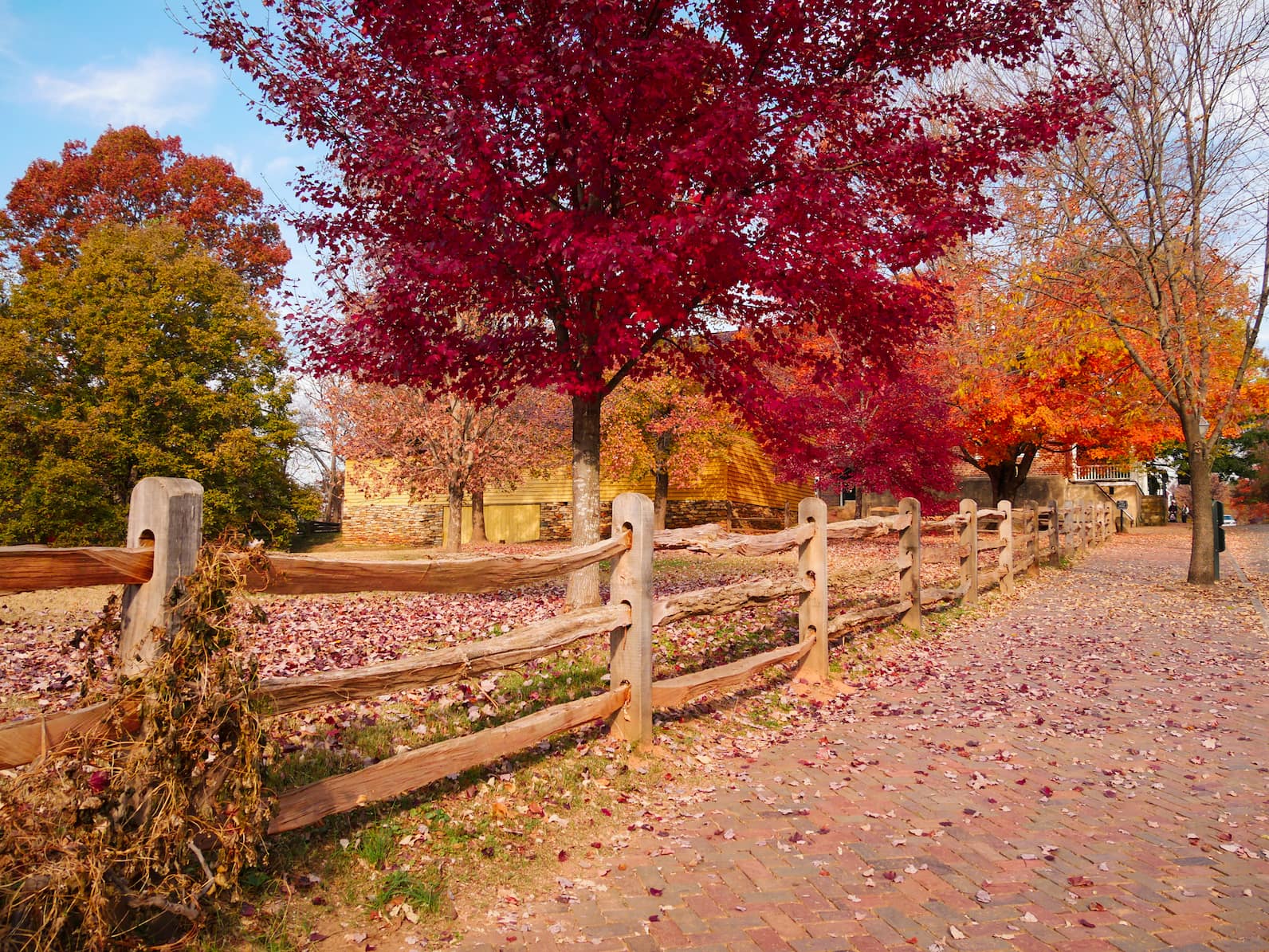 shutterstock_657103582-min